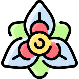 amaryllis icona