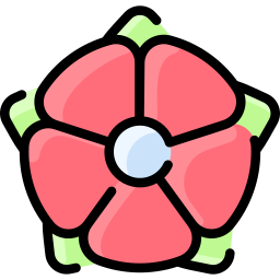 bromeliad icon