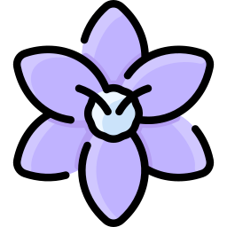 프리지아 icon