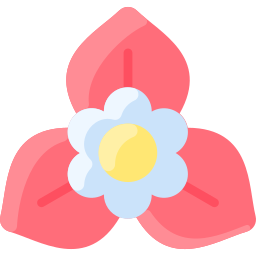 Bougainvillea icon