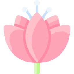 lotus icon