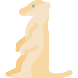 Meerkat icon