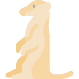 meerkat Ícone