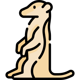 suricate Icône