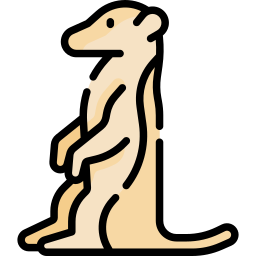 meerkat icoon