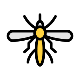 Insect icon