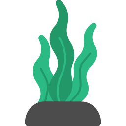 alga Ícone