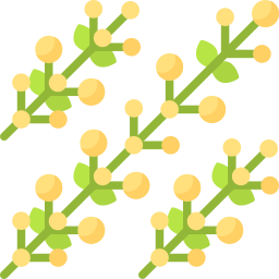 acacia dorada icono