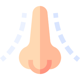 Nose icon