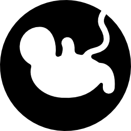 妊娠 icon