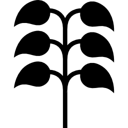 Natural branch shape with leaves icon