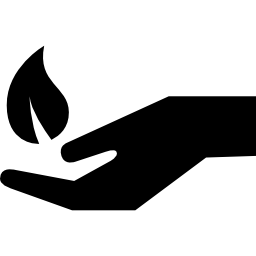 hand met een blad icoon