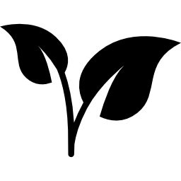 Leaves icon