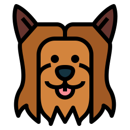 yorkshire terrier icona