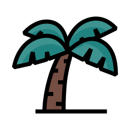 Coconut tree icon