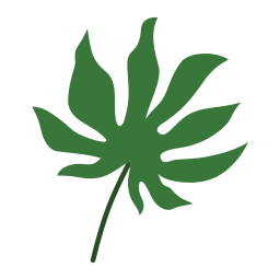 ginkgo biloba icon