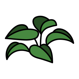 Árbol del caucho icono