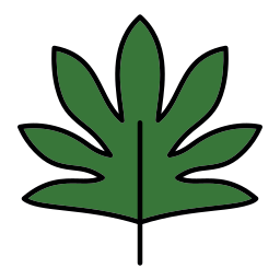 Leaf icon