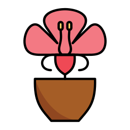 blume icon