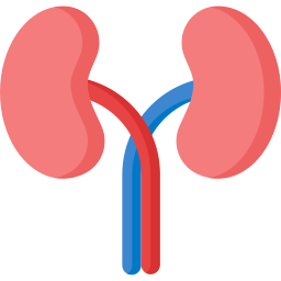 Kidneys icon