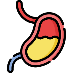 stomaco icona