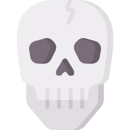 Skull icon