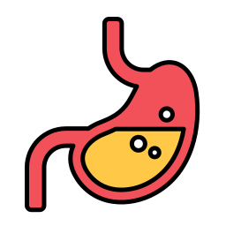 Stomach icon