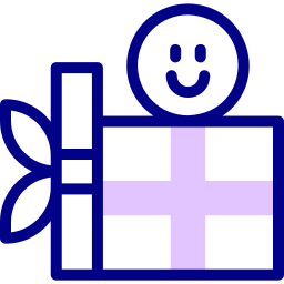 geschenkbox icon