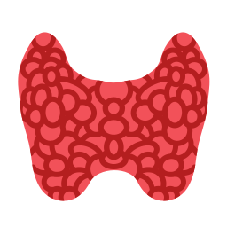ghiandola tiroidea icona
