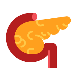 pankreas icon