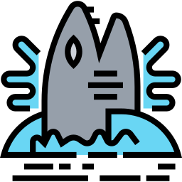 Shark icon