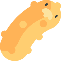 Sea cucumber icon
