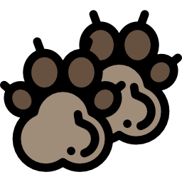 pawprint иконка