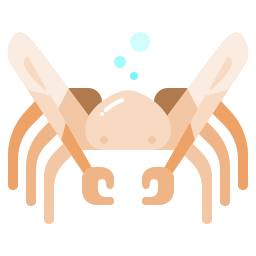 crabe Icône