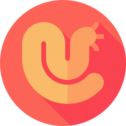 seewurm icon