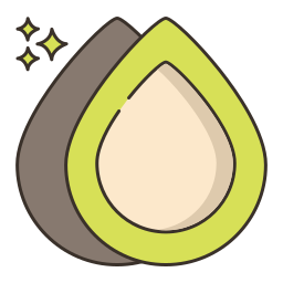 coxinha icon