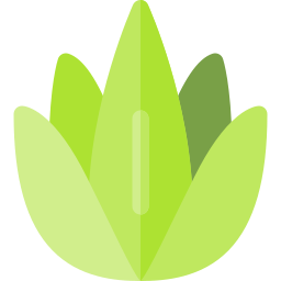 aloe vera icon