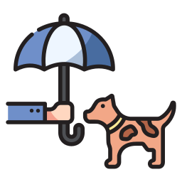 Pet insurance icon