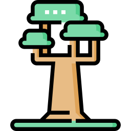 Baobab icon