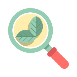 Organic search icon