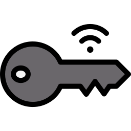 Smart key icon