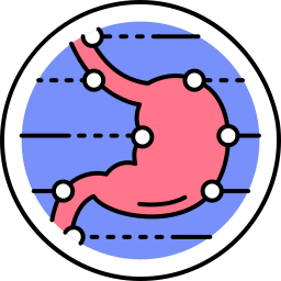 gastroenterologie icon