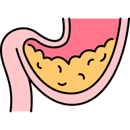 Stomach icon