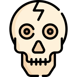 Skull icon