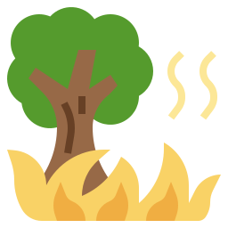 Wildfire icon