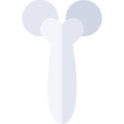 gesichtswalze icon