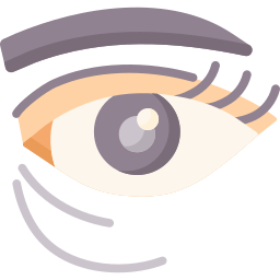 Eye bags icon