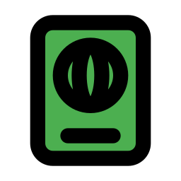 reisepass icon