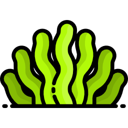 Seaweed icon