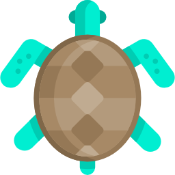 Turtle icon